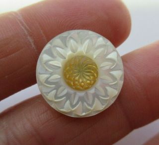 Most Antique Vtg Victorian Carved Mop Shell Button Flower 3/4 " (e)