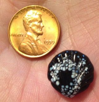 Antique Black Glass Realistic Sea Shell Scallop Swirlback Button W/ Overlay