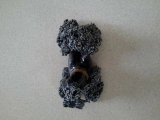 Vintage Black Spaghetti Poodle 2