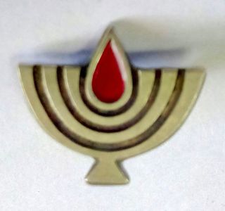 Israel Idf Army State Warrior Decoration 1948 Authentic Medal Pin Old 50s