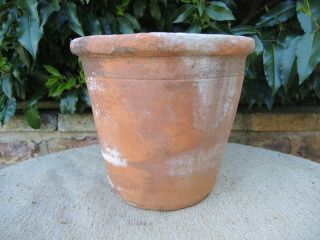 Rare Old Vintage Terracotta Plant Pot 10 " Diameter (497)
