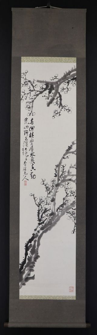 Japanese Hanging Scroll Art Painting " Plum Blossoms " Asian Antique E7740