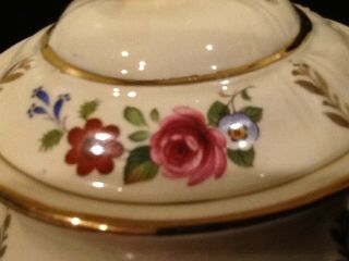 Vintage Porcelain Tea Pot made in England James Sadler Floral Rose 3682 4
