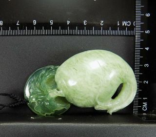 100 Natural Hand - carved Chinese Jade Pendant jadeite Necklace radish&coin 983d 6