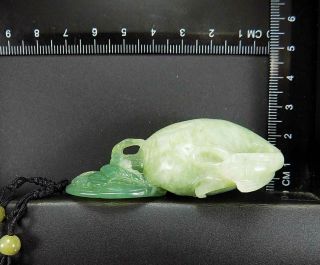 100 Natural Hand - carved Chinese Jade Pendant jadeite Necklace radish&coin 983d 7
