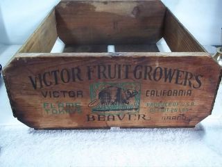 Rare Antique Vintage Flame Tokay Grape Wood Crate Beaver Victor Fruit Growers CA 3