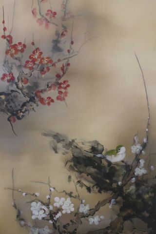 G08q6 梅 White & Red Ume Plum Tree With Bush Warbler Japanese Hanging Scroll