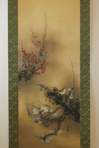 G08Q6 梅 White & Red Ume Plum Tree with Bush Warbler Japanese Hanging Scroll 3