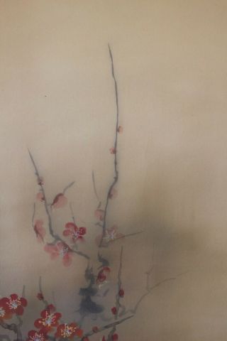 G08Q6 梅 White & Red Ume Plum Tree with Bush Warbler Japanese Hanging Scroll 4