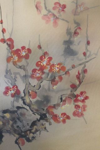 G08Q6 梅 White & Red Ume Plum Tree with Bush Warbler Japanese Hanging Scroll 5