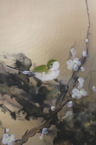 G08Q6 梅 White & Red Ume Plum Tree with Bush Warbler Japanese Hanging Scroll 6