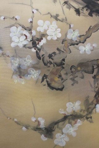 G08Q6 梅 White & Red Ume Plum Tree with Bush Warbler Japanese Hanging Scroll 7