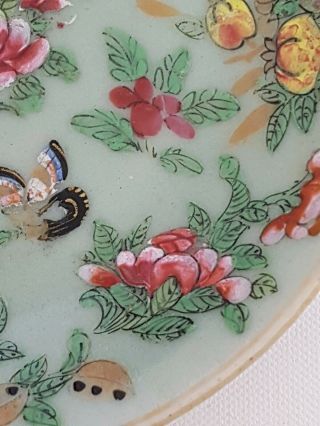 FINE ANTIQUE CHINESE PORCELAIN FAMILLE ROSE CELADON PLATE 3