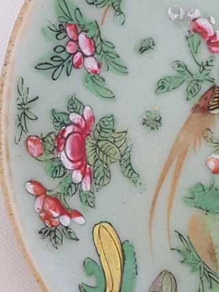 FINE ANTIQUE CHINESE PORCELAIN FAMILLE ROSE CELADON PLATE 4