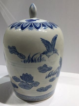 Antique Chinese Porcelain Jar/ Birds And Flowers. 5