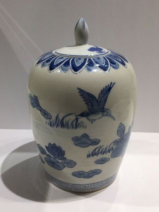 Antique Chinese Porcelain Jar/ Birds And Flowers. 8