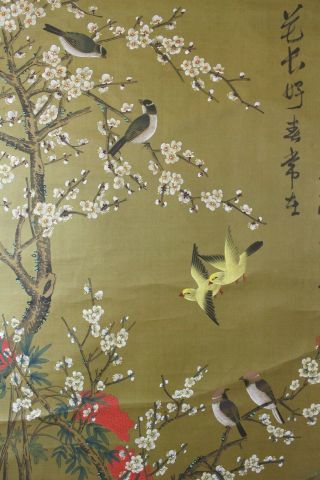G07t9 Gorgeous Flowers & Birds Chinese Hanging Scroll