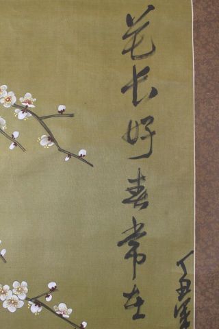 G07T9 Gorgeous Flowers & Birds Chinese Hanging Scroll 4