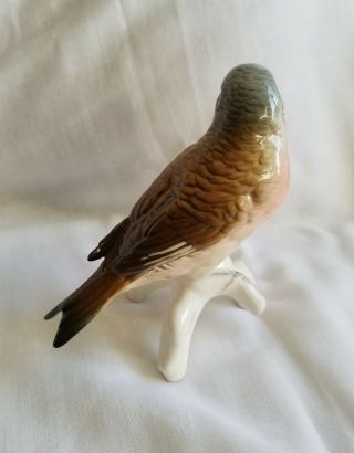 Very Unusual Antique Karl Ens Volkstedt Dresden Porcelain Bird,  Pre - WW2 Perfect 5