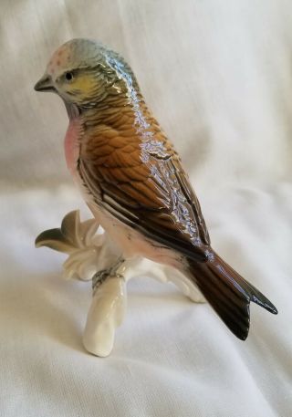 Very Unusual Antique Karl Ens Volkstedt Dresden Porcelain Bird,  Pre - WW2 Perfect 7