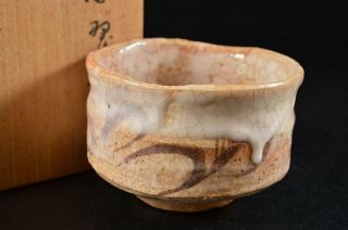 G8239: Japanese Old Shino - Ware White Glaze Muffle Painting Tea Bowl W/box