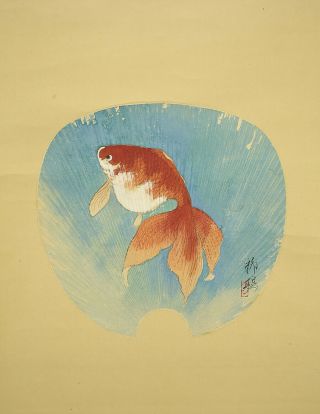 掛軸1967 Japanese Hanging Scroll : Ryuo " Fan Surface Goldfish " @b914