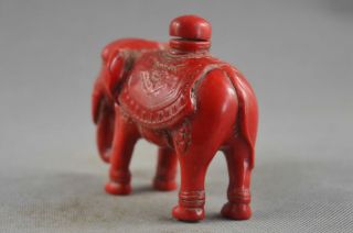 China Collectable Souvenir Handwork Coral Carve Delicate Elephant Snuff Bottle 5