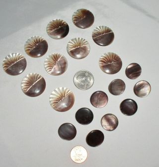 Vtg.  Abalone Shell Buttons - (10) 1 " Carved & (9) 3/4 " Smooth Abalone - Qty.  19