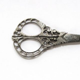 Terzano Antique Sewing Scissors Cut Steel 4 