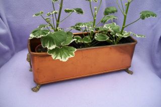 Vintage Copper Planter With Lion Paw Feet & Brass Handles 355mm Long X 132mm W
