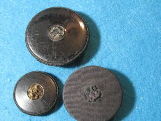 Vintage Trio of Silk Buttons 5