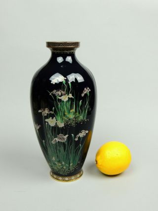 Antique Japanese Cloisonne Vase Iris Flowers