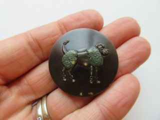 Fantastic LARGE Antique Vtg Celluloid Picture BUTTON Poodle Dog 1 - 3/8 