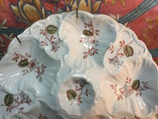 Antique French Porcelain 5 Welled Oyster Plate with Wall Mount c.  late 1800s 4
