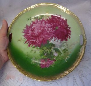 Antique Unmarked Austria Handpainted Floral Design Gold Trim Plate