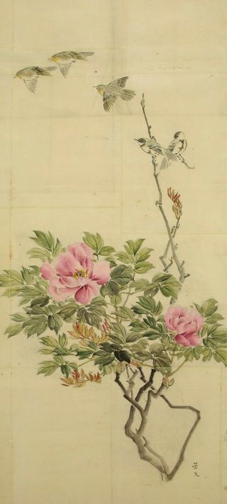 掛軸1967 Japanese Hanging Scroll : Matsumura Keibun " Peony And Five Birds " @b882