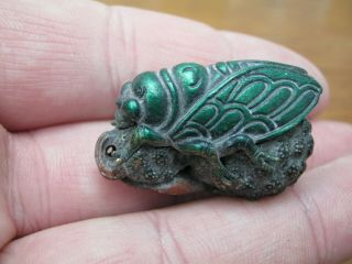 Cold Painted Miniature Bronze Of A Grasshopper / Cicada On A Gourd 2