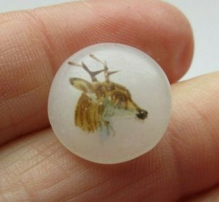 Delightful Antique Vtg Clambroth Glass Picture Button Enamel Deer Head 5/8 " (x)