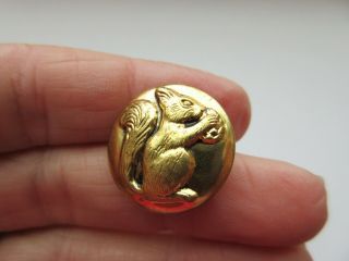 Darling Antique Vtg Brass Metal Picture BUTTON Squirrel w/ Nut 7/8 