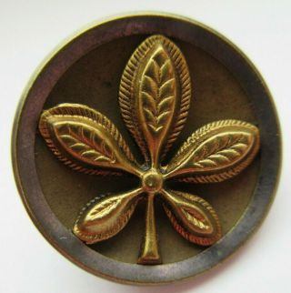 Exceptional Antique Vtg Victorian Metal Picture Button Plant Life Leaf (x)