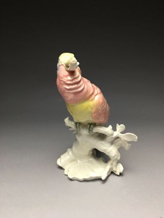 Karl Ens Parrot Cockatoo Bird Figurine As - Is 4
