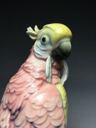 Karl Ens Parrot Cockatoo Bird Figurine As - Is 7