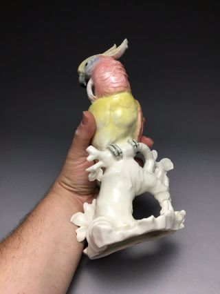 Karl Ens Parrot Cockatoo Bird Figurine As - Is 8