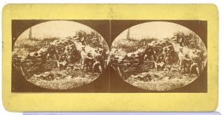 Stereoview Photograph Civil War Tipton Gettysburg Right Angle Stone Wall 41