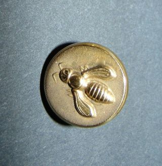 Brass Bumble Bee Button 5119