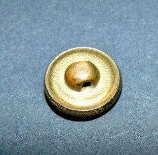 Brass Bumble Bee Button 5118 2