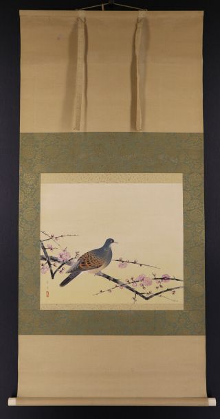 Japanese Hanging Scroll Art Painting " Pigeon And Plum Blossom " E7198