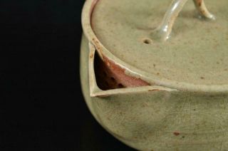 S6179: Japanese Mushiake - ware Green glaze TEA POT Houhin Kyusu Sencha 2