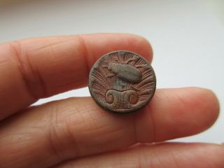 Impressive Scarce Antique Vtg Leather Picture BUTTON Scarab Beetle Insect (W) 3
