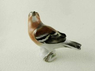 Meissen Porcelain Bird Figurine 2 3/8 " Small Chaffinch Finch